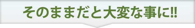 そのままにしておくと大変な事に!!