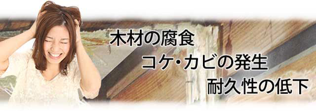 木材の腐食,コケ・カビの発生,耐久性の低下